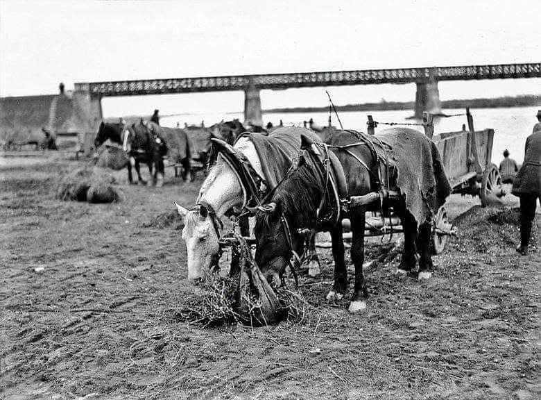 Trnje, utovarivanje pijeska i šljunka 1930. godine (Foto Vladimir Horvat)